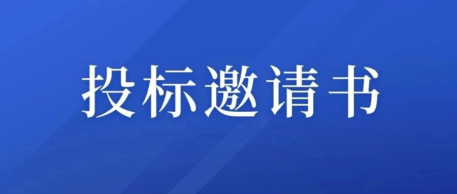 宣紙皮線智能化生產技術改造EPC項目-跟蹤審計咨詢項目招標公告（投標邀請書）